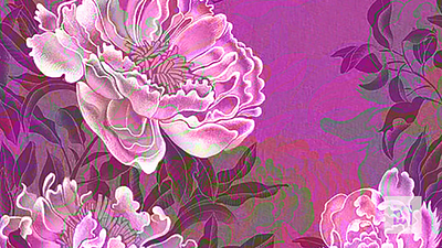 Digital. Peonies. Japanese style. animation digital digital illustration japanese style motion motion design peonies