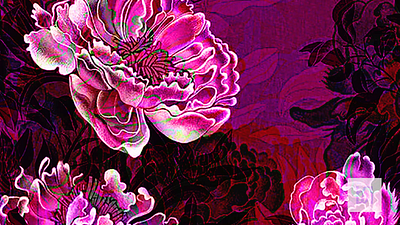 Digital. Peonies. Japanese style. 3d 3danimation animation digital illustration japan japanese style motion motion design peonies