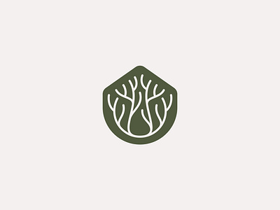 House and Branches Logo adventure brances branch brand identity branding branding concept design eco friendly forest home house logo nature nest real estate sustainability tree visual identity