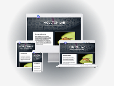 Website: Moulton Lab brand design brandesign branding css css3 design html html5 javascript php responsive ui ui design uidesign ux ux design uxdesign web web design webdesign