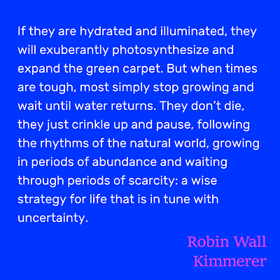 Robin Wall Kimmerer Quote graphic design nature quote quotes robin wall kimmerer sci comm science science communication