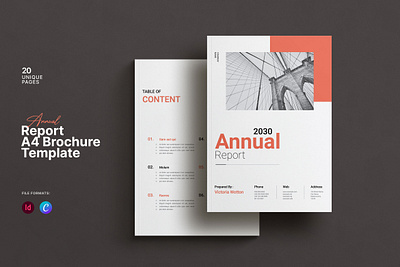 Annual Report Brochure Template