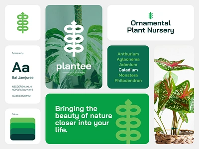 Plantee - Ornamental Plant Nursery bento layout branding design graphic design layout logo logodesign minimalistlogo ui