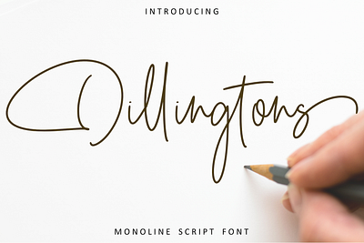 Dillingtons - Monoline Font branding design dillingtons fashion font graphic design handwritten illustration international logo monoline script wedding