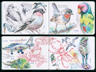 sketchbook [ink, colored pencils] animalism beetle birds chameleon character design colored pencils crosshatching doodles drawing etching fighter ink red ink sketch sketching traditional art