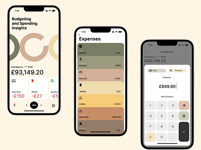 Budgeting/Spending Mobile App Design branding graphic design ui