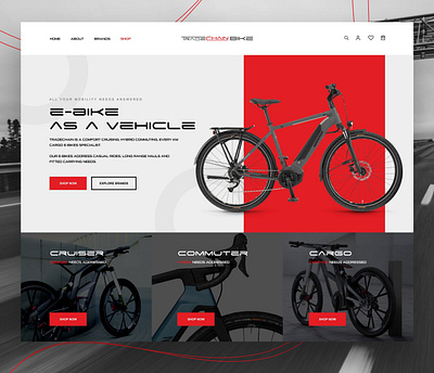 TradeChain - Swiss E-Bikes Company Ecommerce Platform bike ebike ecommerce online commerce shopify ui web design