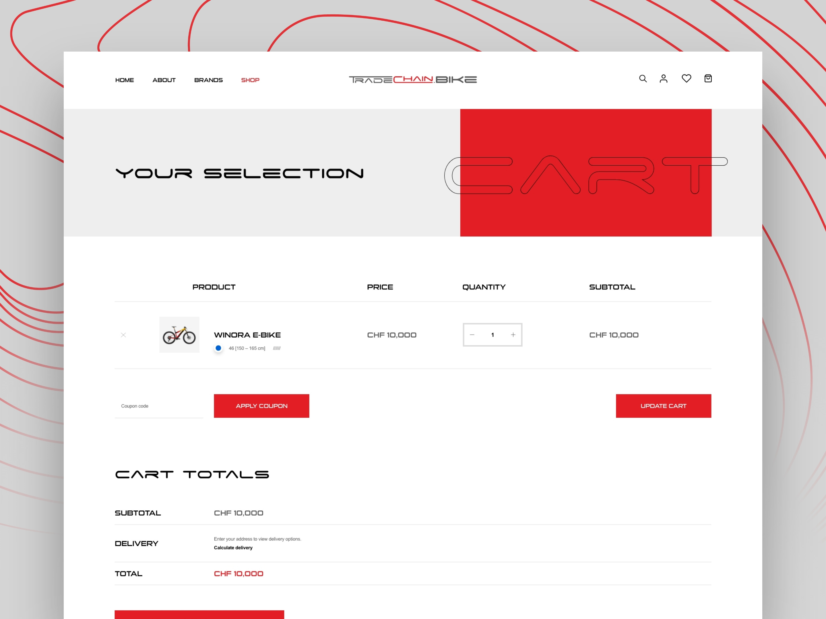 Example of E Commerce Website Design & Development