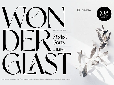 Wonderglast - Stylist Sans brand branding design elegant fashion font fonts graphic design logo logotype luxury minimalist minimalist font serif stylish thin font typeface typography