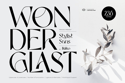 Wonderglast - Stylist Sans brand branding design elegant fashion font fonts graphic design logo logotype luxury minimalist minimalist font serif stylish thin font typeface typography