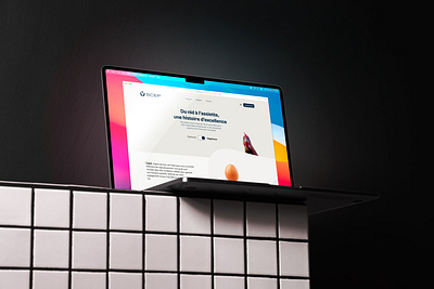 UI/UX Design - Landing page - Website E-commerce SCEP 003 branding challenge chicken creative dailyui design figma graphic design landing page logo poulet product rebranding responsive ui ux webdesign website