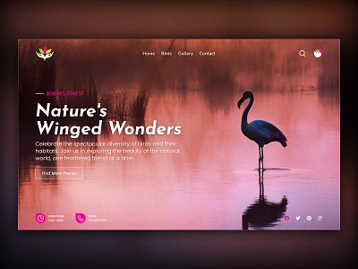 A Nature-Inspired Hero Section Design for Bird Lovers animation birds branding creativity design inspiration eco friendly figmadesign green sustainable hero section landing page minimal design nature aesthetic nature lovers nature theme trending ui design uiux ux design visual storytelling website design