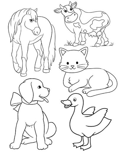 Animal Coloring Pages