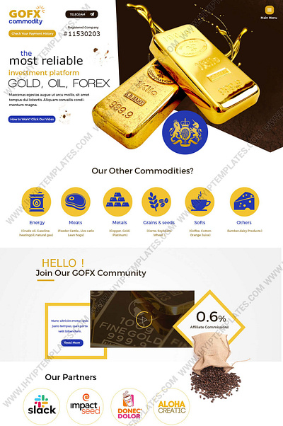 GoldCoders HYIP Template: Double Value This Black Friday! animation best hyip template buy hyip template cryptocurrency design gc hyip template goldcoders goldcoders hyip template graphic design hyip hyip design hyip investment hyip template hyip templates illustration investment site ui ux web design website design