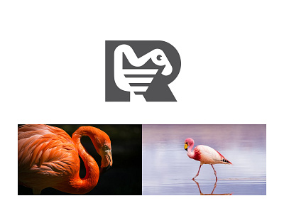 Letter R Flamingo Typography ready-made logo for sale 3d anhdodes animation branding design graphic design illustration logo logo design logo designer logodesign minimalist logo minimalist logo design motion graphics ui