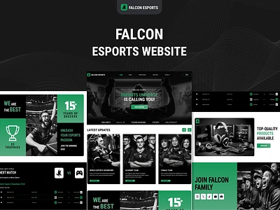 Falcon Esports Website appui appux landingpagedesign landingpageui landingpageux ui uidesign uiux ux uxdesign websiteui websiteux webui webux