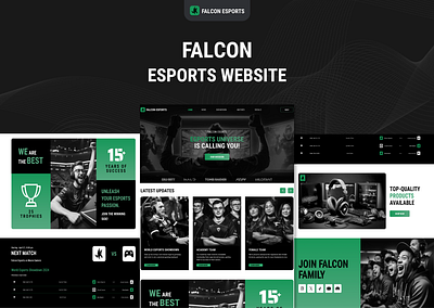 Falcon Esports Website appui appux landingpagedesign landingpageui landingpageux ui uidesign uiux ux uxdesign websiteui websiteux webui webux