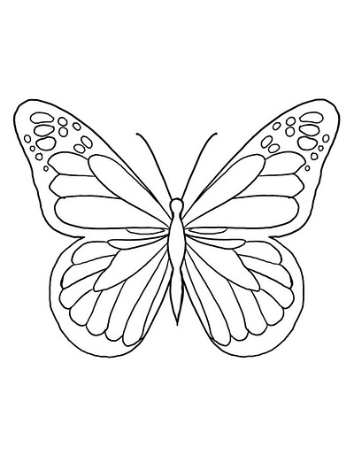 Butterfly Coloring Pages