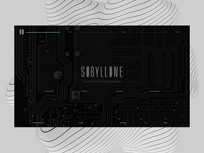 Sibylline web design and development in webflow