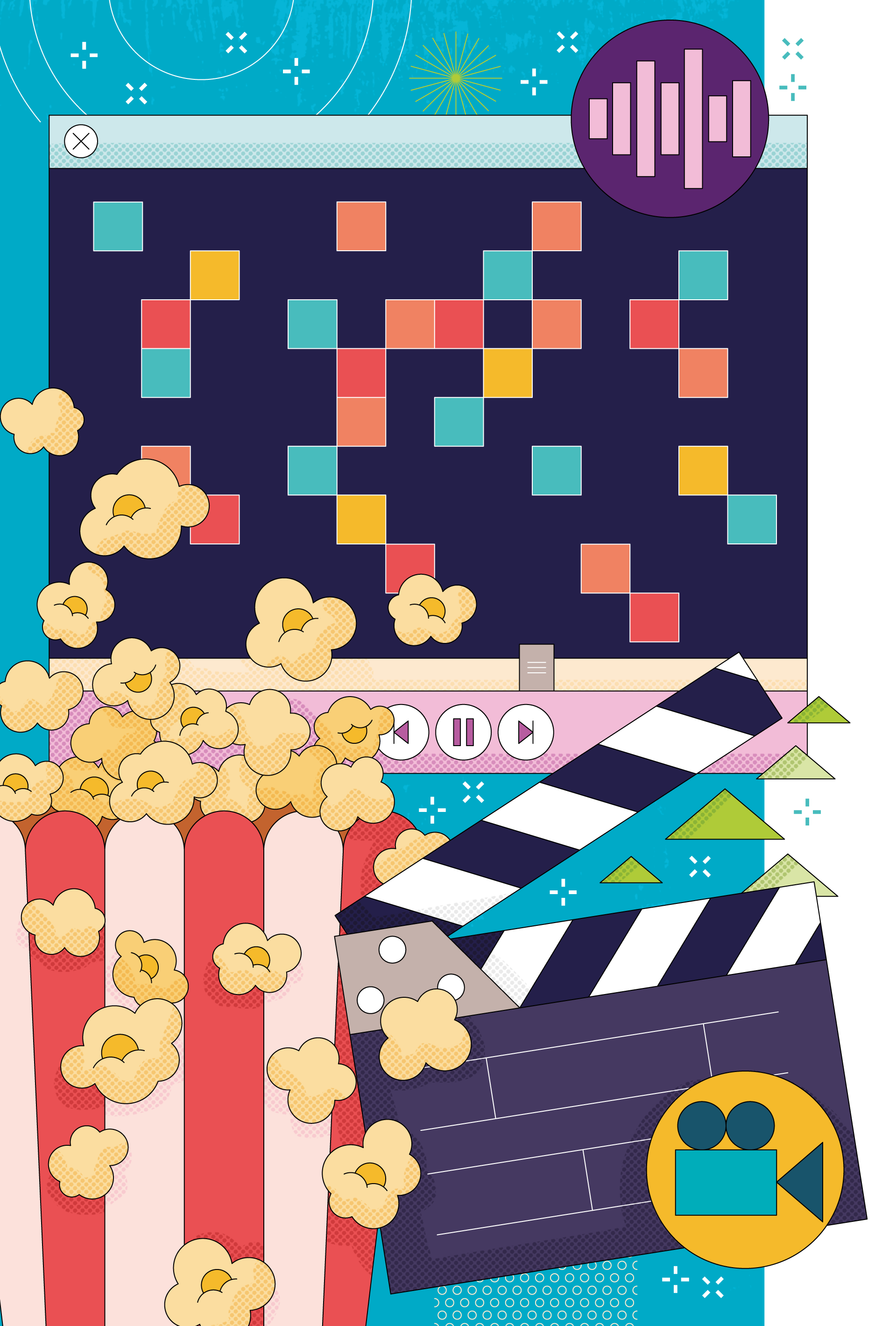 Raspberry Pi Camera Module Guide #3 picamera