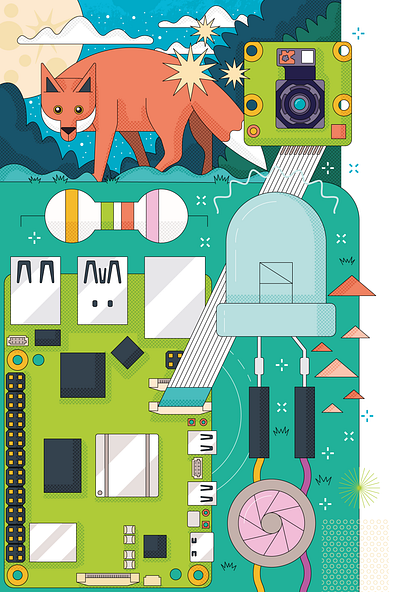 Raspberry Pi Camera Module Guide #12 flash fox stem wildlife