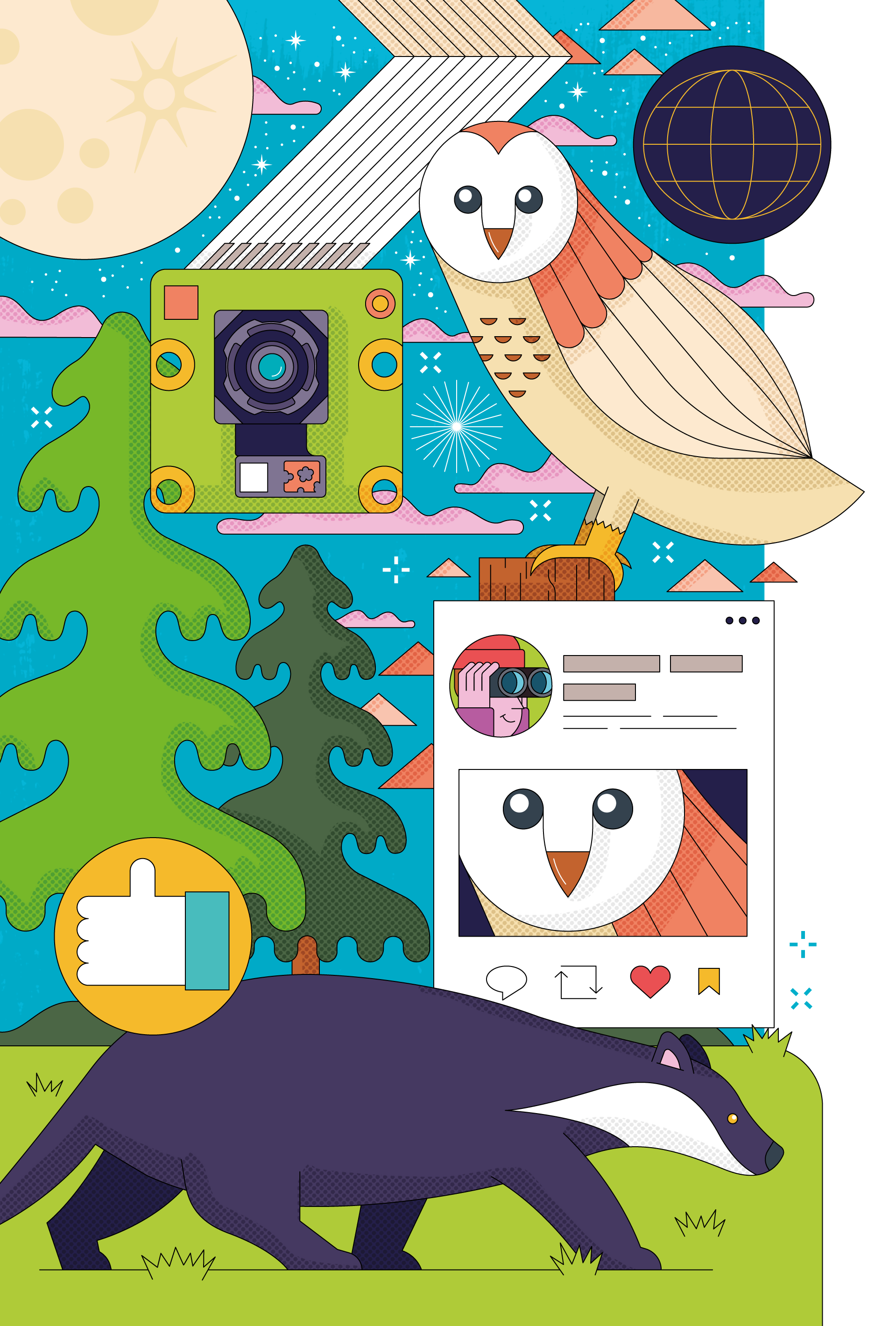 Raspberry Pi Camera Module Guide #15 badger owl wildlife