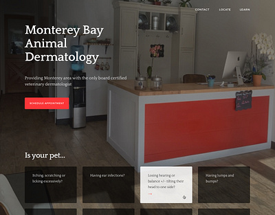 Monterey Bay Animal Dermatology Website Redesign branding design illustration logo ui ux webdesign website website design