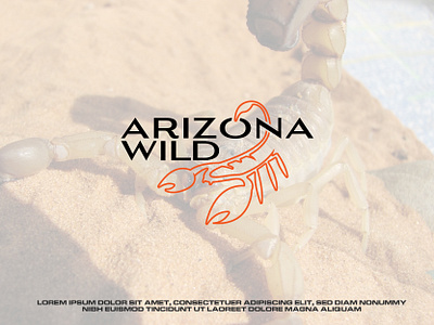 Arizona Wild Logo Design & Branding branding graphic design logo motion graphics ui