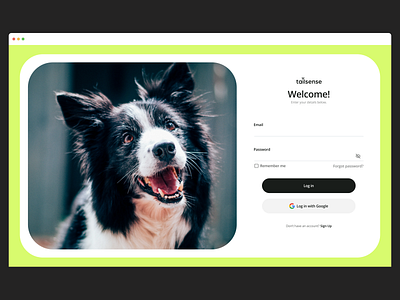 Login Page | Tailsense account animal dashboard design figma form login login page loginform product design register registration sign up signin signup ui ux web web design website