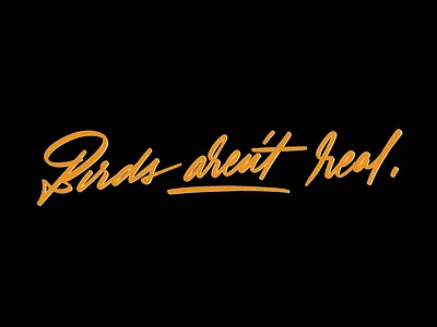 Birds Aren't Real birds arent real brush lettering cursive custom handlettering ipad lettering lettering procreate raster script type typography