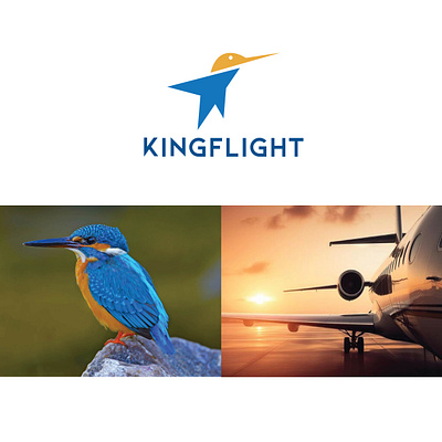 Kingfisher + Flight Minimal Logo branding graphic design logo