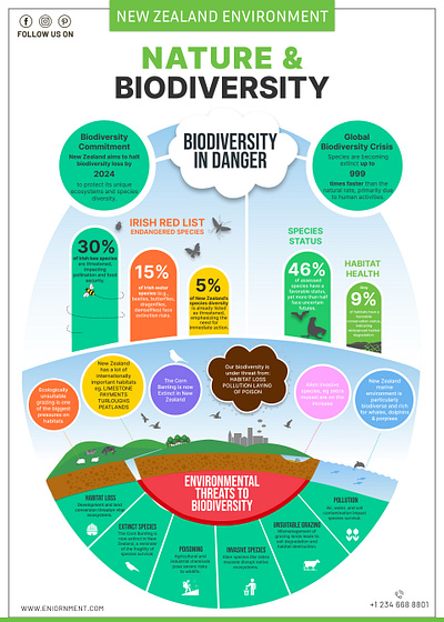 Infographic Design - Nature and Biodiversity branding design graphic design illustration logo ui ux