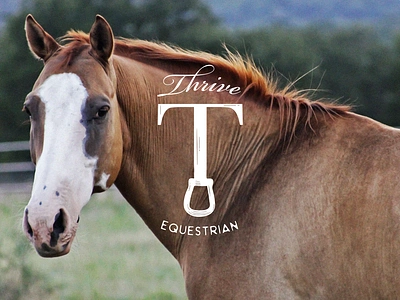 Thrive Equestrian Brand brand branding cowboy cowgirl equestrian horses logo logo design logo lockup riding western