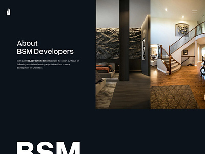 BSM Developers - Redesign - Website animation branding developers ui