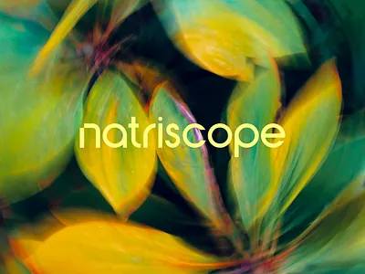 Natriscope | Brand Idea brand branding design doctor health medical
