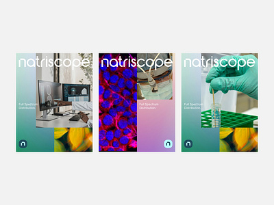 Natriscope | Brand Idea brand branding doctor graphic design health medical