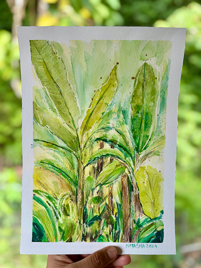 Banana leaves in Costa Rica 🍌🍃 art banana leaves banana tree bright colorful contemplation costa rica green happy illustration natasha gonzalez nature poetic tropical vacation watercolors