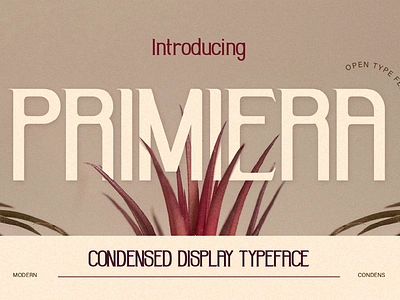 Primiera branding condensed condensed font editorial design font font design font style fonts lettering magazine minimalist modern poster product packaging sans serif simple type design typeface web design web font