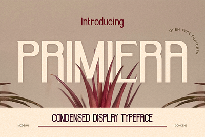 Primiera branding condensed condensed font editorial design font font design font style fonts lettering magazine minimalist modern poster product packaging sans serif simple type design typeface web design web font