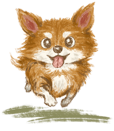 Chihuahua running up to me animal character character design chihuahua dog illustration pet puppy