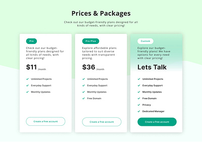 Pricing & Packages customsolutions.