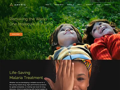 Amyris Inc. UX Strategy & Website Redesign branding design graphic design illustration logo ui ux webdesign website website design