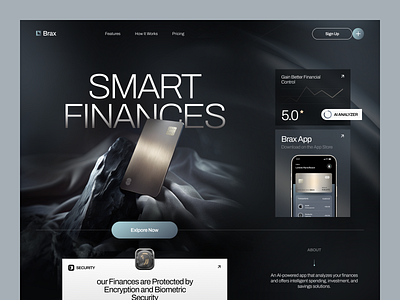 Website for a Financial App ✦ Brax design interface product service startup ui ux web website