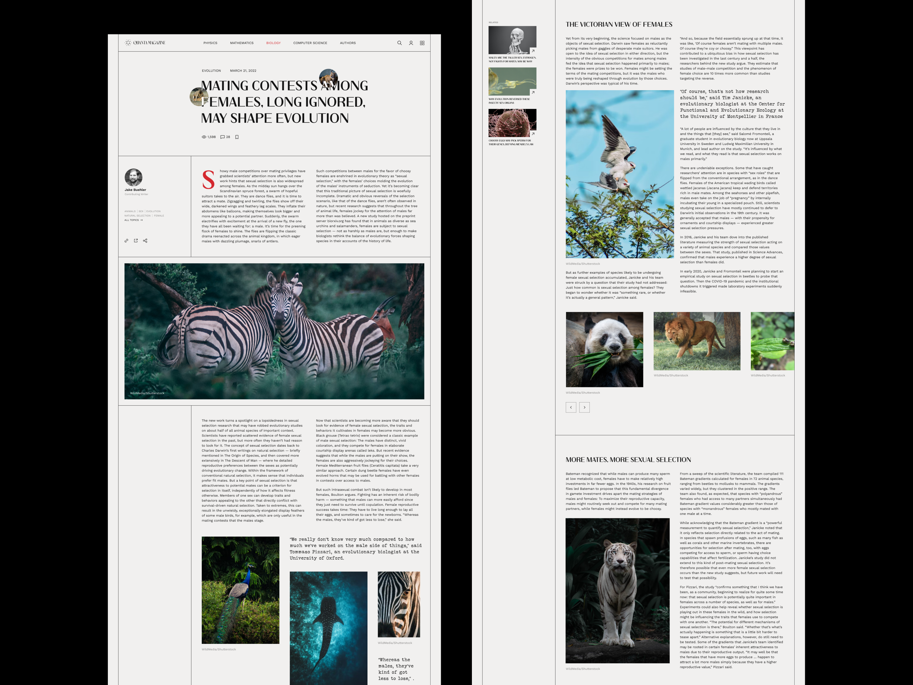 Example of Editorial Design