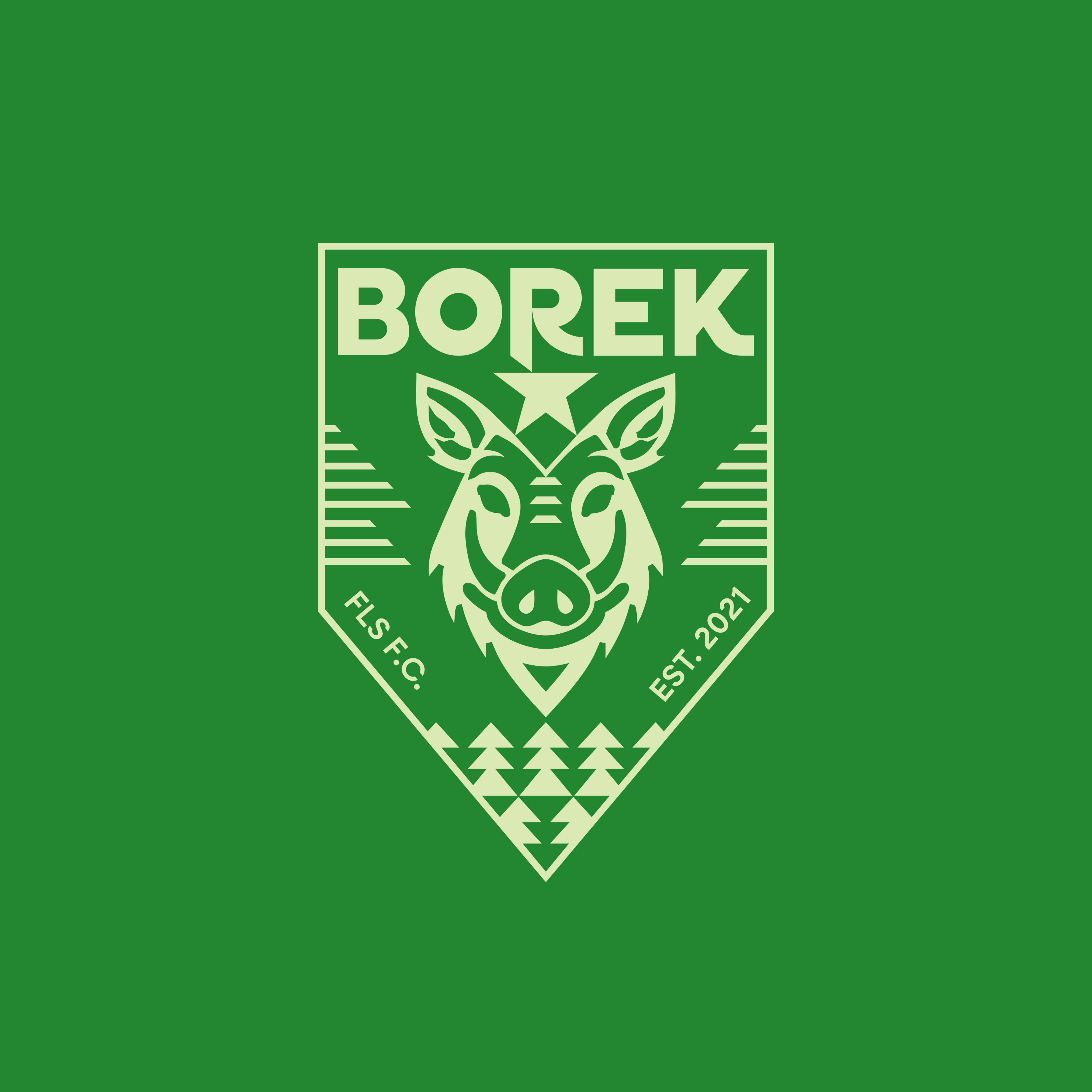 Borek Football Club - Corporate League logo animation branding design illustration logo