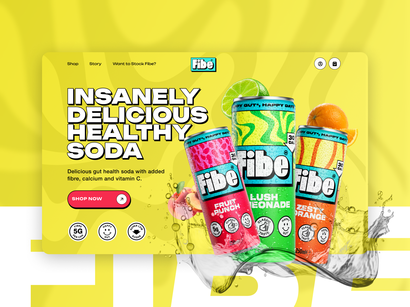 Example of Ecommerce Website Design