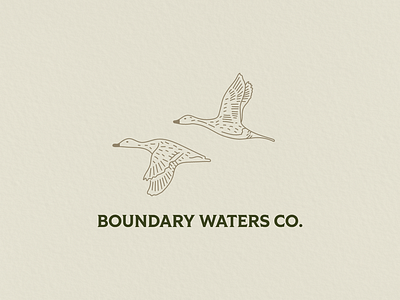 Boundary Waters Co. brand identity branding bucks design ducks fine line freelance design graphicdesign graphicdesigner illustration illustrator line art logo minnesota north woods outdoors stag traditional illustration trout wildlife