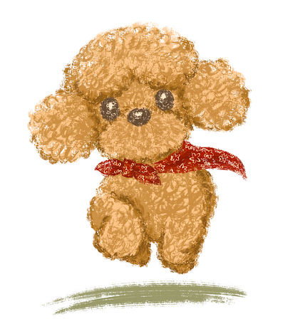 Toy poodle running up to me animal character character design cute dog funny illustration pet toy poodle