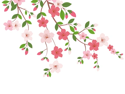 Vector illustration of cherry blossom flower branch