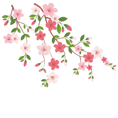 Vector illustration of cherry blossom flower branch